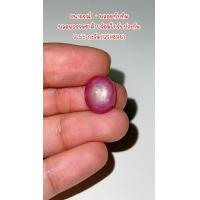 ราคา พลอยทับทิม 9 55 กะรัต GSH896 (19236428683)