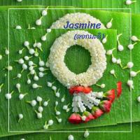 ราคา C ALCHEMY เทียนหอม อโรม่า Aroma เทียนแก้ว เทียนทีไลท์ ทีไลท์ เทียนแก้วเป๊ก เทียนไล่ยุง เทียนไล่แมลง เทียนหอมแก้วเป๊ก เทียนสร้างบรรยากาศ กลิ่นตะไคร้หอม กลิ่นลาเวนเดอร์ ใช้นาน 8 9 ชม 45 55 g (2042872224