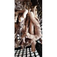 ราคา ราก ปลาไหลเผือก ตงกัตอาลี จากธรรมชาติ ว่านปลาไหลเผือก ชนิดอบแห้ง (3109164028)