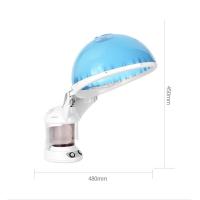 ราคา เครื่องอบผม เครื่องอบไอน้ำผม เครื่องอบไอน้ำ เครื่องอบไอน้ำเส้นผม อุปกรณ์ดูเเลเส้นผม Hair steam machine (19255608496)