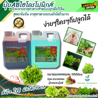 ราคา ปุ๋ยAB ปุ๋ยไฮโดรโปนิกส์ สำหรับผักสลัด ปุ๋ยปลูกผักไร้ดิน ปุ๋ยไฮโดรโปนิกส์ ปุ๋ยน้ำ ผักสลัด ผักไทย ปุ๋ยเอบี สารอาหารครบทุกชนิด (19379712381)
