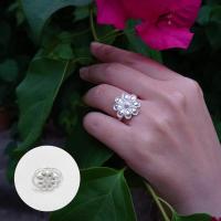 ราคา ฮักเงินน่านพร้อมจัดส่ง แหวนเงินแท้ 92 5 แหวนดอกไม้ แหวนสวยๆ แหวนน่ารัก แหวนวินเทจ เครื่องประดับเงินแท้ s925 เงินน่าน (20816514036)