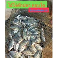 ราคา ไอ้โง่ดักปลา ลอบดักปลา ไซดักปลา ราคาประหยัด (8644581155)