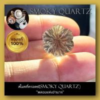 ราคา สโมคกี้ควอตซ์ Smoky Quartz พลอยแห่งอำนาจ พลอยแท้ 100 พลอยร่วง พลอยสำหรับทำหัวแหวน สินค้ามีใบการันตีพลอยแท้ ถ่ายจากของจริงทุกชิ้น (19255908991)