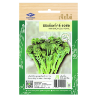 ราคา เมล็ดพันธุ์ มินิบร็อคโคลี่ รอยัล ตราเจียไต๋ บรรจุ 0 09 กรัม 10 เมล็ด (9123224418)