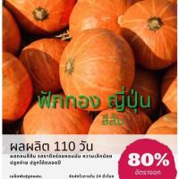 ราคา เมล็ดฟักทองญี่ปุ่น ฟักทอง (12465282490)