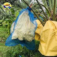 ราคา ถุงห่อผลไม้กันแมลง แค่ถุงสีฟ้า ขนาด 60 x 90 cm เช่น อินทผาลัม ขนุน ลำใย กล้วย (19476303291)