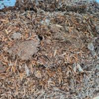 ราคา แกลบหมักขี้ไก่ ปลอดสารเคมี น้ำหนัก 1 กิโลกรัม (18891982537)