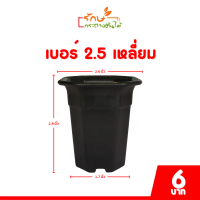 ราคา กระถาง จานรอง กระถางต้นไม้ กระถางปากแตร กระถางแปดเหลี่ยม ปากแตร เบอร์ 2 2 5 3 4 4 5 5 นิ้ว สีดำ สีขาว สีเทา สีอิฐ (20850642668)