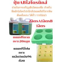 ราคา ปุ๋ย AB สำหรับปลูกผักไฮโดรโปนิกส์ สูตรเข้มข้น ชนิดน้ำ ขนาด 2 ลิตร A 1 ลิตร B 1ลิตร (7779205073)