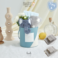 ราคา ชุดของขวัญเด็กแรกเกิด TINY A ฟ้า Twist ของขวัญเยี่ยมคลอด Baby Shower Gift Newborn Gift (17710026761)