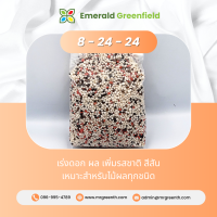 ราคา ปุ๋ยสูตร 15 15 15 สูตร 16 16 16 สูตร 8 24 24 สูตร 29 9 9 แบ่งขาย (19589562695)
