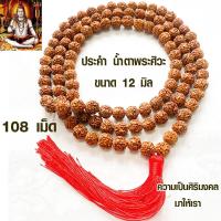 ราคา ประคำ 12 มิล มี 108เม็ด น้ำตาพระศิวะ ลูกประคำสร้อยคอ ประคำสร้อยคอ ลูกประคำ สวดมนต์ ประคำสวดมนต์ นั่งสมาธิ ลูกแก้ว สร้อยคอ ZX (17676741957)