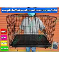 ราคา กรงสุนัข กรงแมว กรงสัตว์เลี้ยงอเนกประสงค์ พับได้ พร้อมพื้นแสล็คและถาดรอง C10P (17433333781)