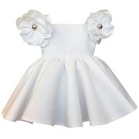 ราคา ชุดเดรสเจ้าหญิงเด็กเด็กหญิงทารกใหม่2023ชุดเดรสผ้าแจ็คการ์ดผูกโบว์ไหล่สำหรับเด็กผู้หญิงชุดปาร์ตี้แต่งงานเด็กเล็กเดรส Tutu 1st พิธีล้างบาปเครื่องแต่งกายคริสมาสต์วันเกิด2 3 4 5 6ปี (13055697253)