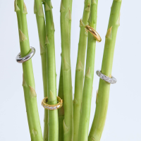 ราคา Bemet Basic ear cuff ต่างหูแบบสวม ราคาต่อ 1 ชิ้น (20919847231)