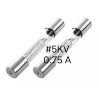 ราคา ฟิวส์หลอดแก้วไมโครเวฟ 5KV 0 75A อะไหล่ไมโครเวฟ บรรจุ 5 ชิ้น (9748352513)