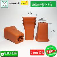 ราคา กระถางต้นไม้ กระถางพลาสติก กระถางแคคตัส กระถางกระบองเพชร ขนาด 4 นิ้ว ทรงหลี่ยมสูง 10 ใบ (7977069294)