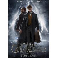 ราคา หนัง DVD ออก ใหม่ Fantastic Beasts สัตว์มหัศจรรย์ ภาค 1 3 DVD Master เสียงไทย เสียง ไทย อังกฤษ ซับ ไทย อังกฤษ DVD ดีวีดี หนังใหม่ (19928494000)