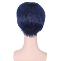 ราคา Yiyaobess 6นิ้วสีน้ำเงินเข้มสั้นคอสเพลย์วิกผมเรียบเกมสุดท้าย Aomine Daiki ฮาโลวีนสังเคราะห์ผมวิกผมตรงสำหรับผู้ชาย (20338360617)
