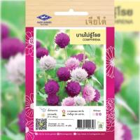 ราคา เมล็ดพันธุ์ บานไม่รู้โรย คละสี ตราเจียไต๋ (19683986576)