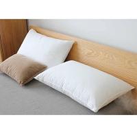 ราคา หมอน หมอนหนุน หมอนใบใหญ่ หมอนขนห่านเทียม (467020666)