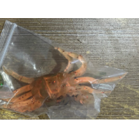 ราคา เหยื่อปลอม เหยื่อตกปลา ปูปลอม เหยื่อ10cm33g เหยื่อพร้อมตะขอเกี่ยวในตัว อุปกรณ์ตกปลา (17454391654)