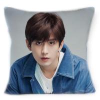 ราคา หมอนอิง ปลอกหมอนอิงผ้ากำมะหยี่ลายเฉิงอี้ Cheng Yi ดาราจีน พิมพ์ลาย2ด้าน ปลอกมีซิปถอดซักได้ (20502683207)