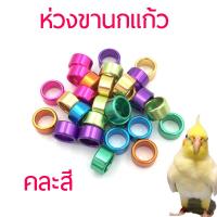 ราคา ห่วงขานกแก้ว ห่วงขานก แหวนนก ของตกแต่งนกแก้ว สีสด สวยงาม 10 15mm สุ่มสี 1ชิ้น นกจาดีน พิราบ เกรย์ อิเล็คตัส กะตั้ว อิเล็คตัส มาคอว์ (14033419400)