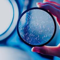 ราคา 49mm Color Streak Filter 52mm Blue Streak Filter Star Light Effect Filters 55mm Orange Dot to Line Filter 58mm Screen Widen Lens (11348882067)