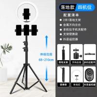 ราคา ขาตั้งศัพท์มือถือคู่แบบมืออาชีพขาตั้งกล้องพร้อมไฟเติมขาตั้งกล้องขาตั้งกล้องแบบตั้งพื้นแบบใหม่อเนกประสงค์ (19529034167)