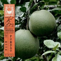 ราคา KARMAKAMET Original Aromatic Glass Candle คามาคาเมต เทียนหอม เทียน สร้างบรรยากาศ กลิ่นหอม บ้านหอม (13249648103)