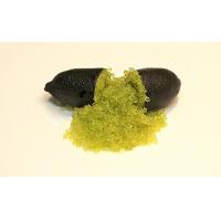 ราคา 1 ต้นมะนาวคาเวียร์ หรือ มะนาวนิ้วมือ FINGER CAVIER LIME สายพันธุ์ COLLETTE ขนาด 30 40 ซม พร้อมกระถาง6นิ้ว รากแน่น 6 เดือนพร้อมให้ผล (20957197032)