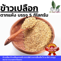 ราคา ข้าวเปลือกไก่ ข้าวเปลือก ข้าวเปลือกไก่ชน ข้าวเปลือกเลี้ยงไก่ อาหารไก่ ข้าวไก่ อาหารเป็ด ไก่ อาหารนก จากเกษตรกรโดยตรง บรรจุถุง 5 กก (17500522571)