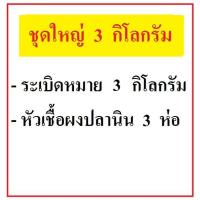 ราคา ชุดโปรบ่อเหมา เหยื่อตกปลานิล ระเบิดหมาย เหยื่อตกปลาชิงหลิว สปิ๋ว ไฮเกรดตกปลาสำเร็จรูป (18553149493)