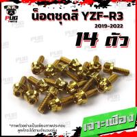 ราคา น็อตชุดสีR3 ปี 2019 1ชุด 14 ตัว น็อตชุดสีR 3 2019 YZF R3 น็อตR3 น็อตYFZ R3 น็อตเฟรมR3 น็อสแตนเลส R3 2019 (17455937398)