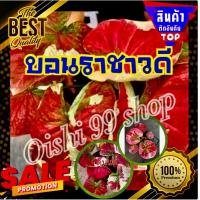 ราคา บอนสีราชาวดีผ่าชิ้นรับประกันงอกแท้ สินค้าตรงปก ขายแบบชิ้นตา บอนหายากราคาแพง 1ชิ้น แพค (15060853097)