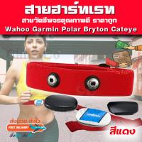 ราคา อะไหล่ สายคาดอก สายคาดหน้าอก สายรัด วัดชีพจร Garmin Polar Wahoo Bryton Sigma Cateye Coospo Heart Rate Monitor ที่เสีย ยืด ไม่วัดหัวใจ สีสันสด เหมาะกับบุคลิก ราคาถูก (1441924311)