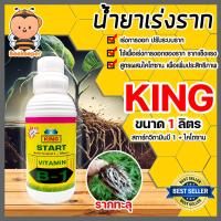 ราคา น้ำยาเร่งราก คิงสตาร์ท วิตามิน บี 1 ผสมไคโตซาน ขนาด 1 ลิตร สารกระตุ้นราก น้ำยาบี1 B1 เร่งรากบี1 น้ำยาเพิ่มราก เร่งเจริญเติบโต สารเร่งราก (20562362956)
