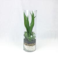 ราคา สวนโหลแก้ว ต้นไม้ประดิษฐ์ในโหลแก้ว สวนขวดแก้วประดิษฐ์ (14481901747)