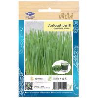 ราคา เมล็ดผักงอก ทานตะวันงอก ต้นอ่อนข้าวสาลี ไควาเระ01 เจียไต๋ (19851184013)