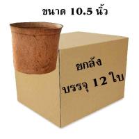 ราคา กระถางใยมะพร้าว ขนาด 10 5 นิ้ว กระถางใยมะพร้าว ตัวช่วยสำหรับในการปลูกต้นไม้ และไม่เป็นอันตรายต่อสิ่งแวดล้อม ผลิตจากใยมะพร้าว (20478638708)