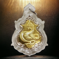 ราคา เหรียญนาคราชพ่อปู่ศรีสุทโธ วัดป่าคำชะโนด (20286041985)