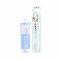 ราคา SKYNLAB Premium Slim Soft Toothbrush แปรงสีฟัน สกินแล็บ แถมยาสีฟัน 12g (19273133387)