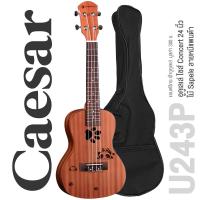 ราคา Caesar U243 Concert Ukulele อูคูเลเล่ ไซส์ Concert 24 นิ้ว ไม้ Sapele ฉลุลวดลายน่ารัก เคลือบด้าน แถมฟรีกระเป๋าอูคูเลเล่ (15618022807)