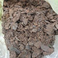 ราคา ดินใบก้ามปู ใบก้ามปู ดินก้ามปู ดินหมักใบก้ามปู ดินผสมใบก้ามปู ดินปลูกต้นไม้ ดินผสมสำเร็จรูปพร้อมปลูก ดินปลูกสูตรธรรมชาติ Just Bargains ไทย (16360649848)