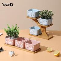 ราคา YEYA กระถางต้นไม้พลาสติกพร้อมถาดรองกระถาง กระถางต้นไม้ กระถางต้นไม้พร้อมถาดรอง กระถางดอกไม้เล็ก กระถางตั้งโต๊ะ กระถางต้นไม้ขนาดเล็ก (13979945089)