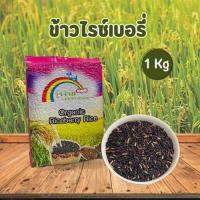 ราคา Rainbows Rice ข้าวไรเบอร์รี่ คัดพิเศษอย่างดี ตรารุ้งงาม ขนาด 1 กิโลกรัม สินค้าพร้อมส่งในไทย (18851379229)
