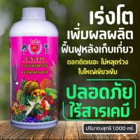 ราคา ฮอร์โมนอาหารทางใบ เร่งราก บำรุงใบ เพิ่มผลผลิต ป้องกันแมลงและเชื้อรา 1000ml รองรับเก็บเงินปลายทาง (4912649)