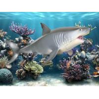 ราคา ชัดเจน ฉลามขาวสัตว์พีวีซีตัวสะสมของเล่นโมเดลสำหรับเด็กของขวัญตกแต่ง (800246574)